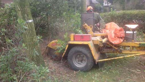 Uitfrezen van stobbe  in Berkel Enschot